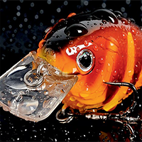 Hard Lures
