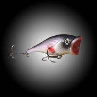 Admirals Fish