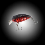 Waterfly